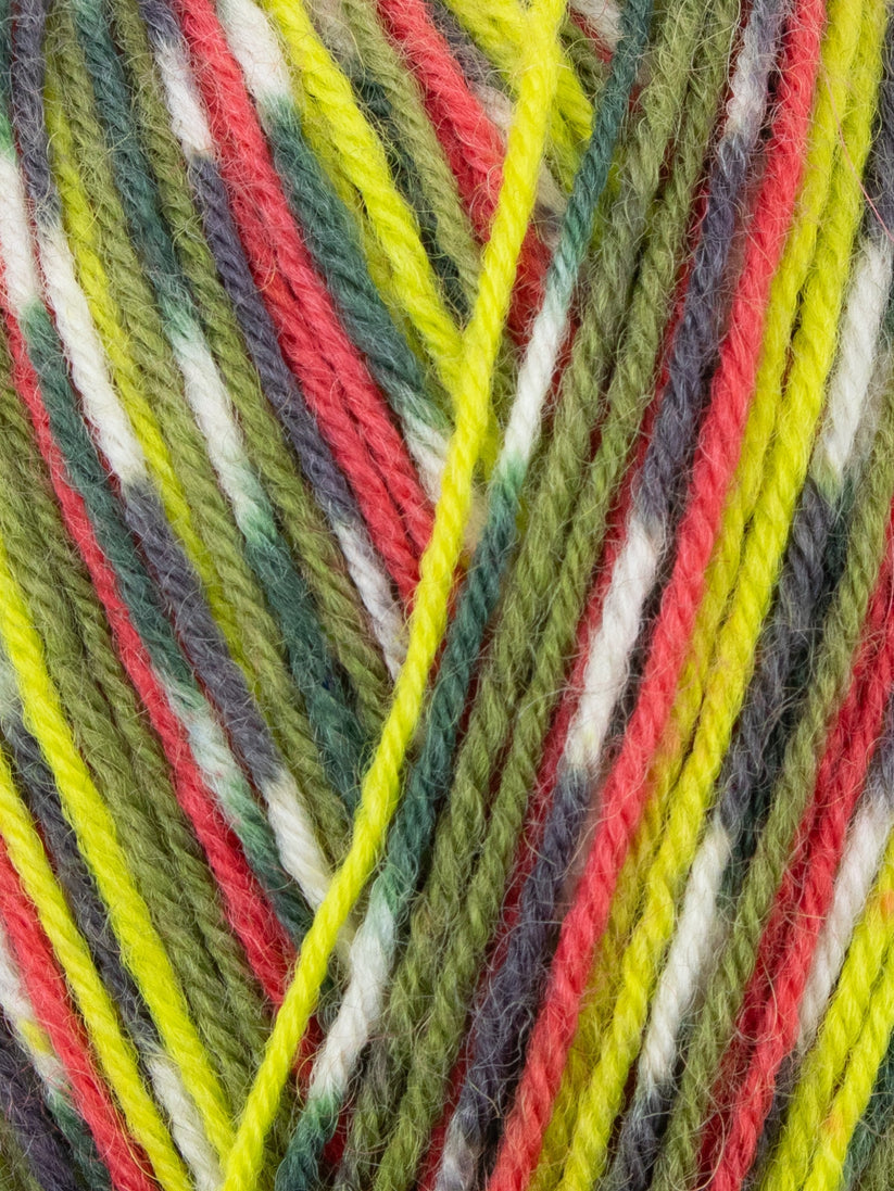 Signature 4ply