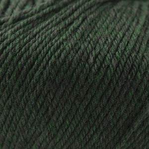 Cascade Yarns 220 Superwash