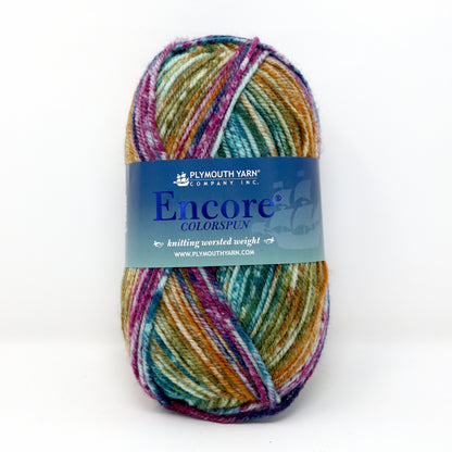 Plymouth Yarn Encore Worsted Colorspun