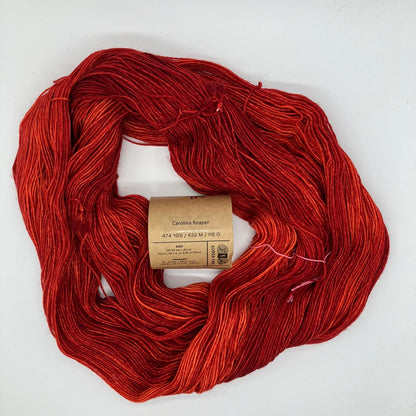 Twist Light