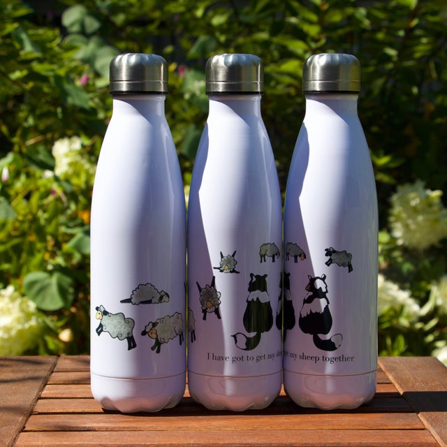 Stainless Steel Water Bottle