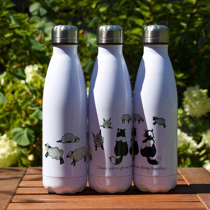 Stainless Steel Water Bottle