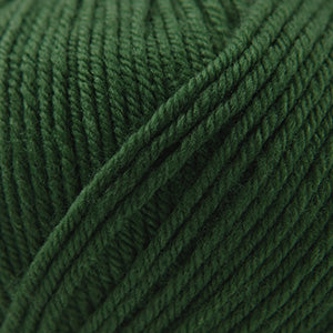 Cascade Yarns 220 Superwash