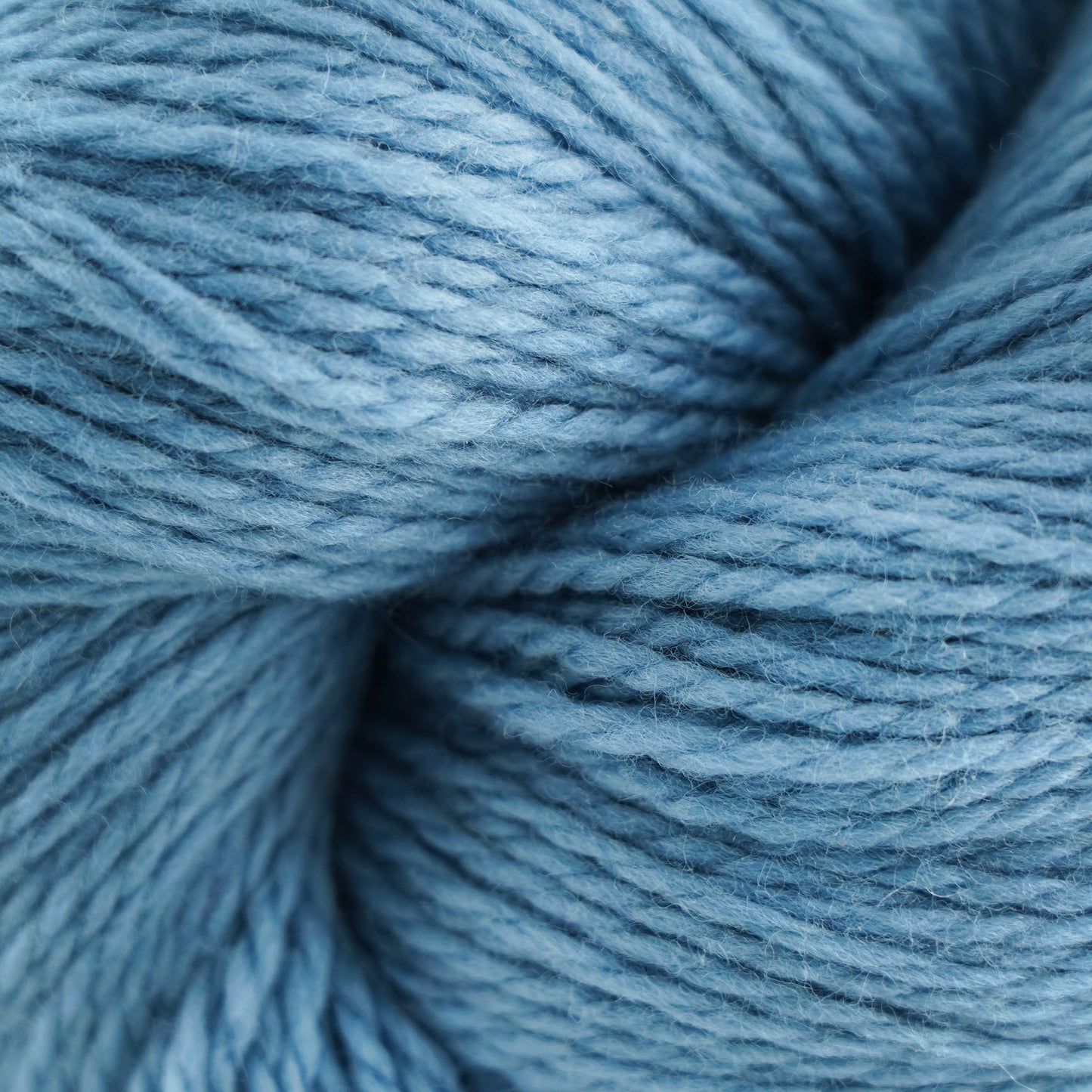 Cascade Yarns Ecological Wool/Eco+